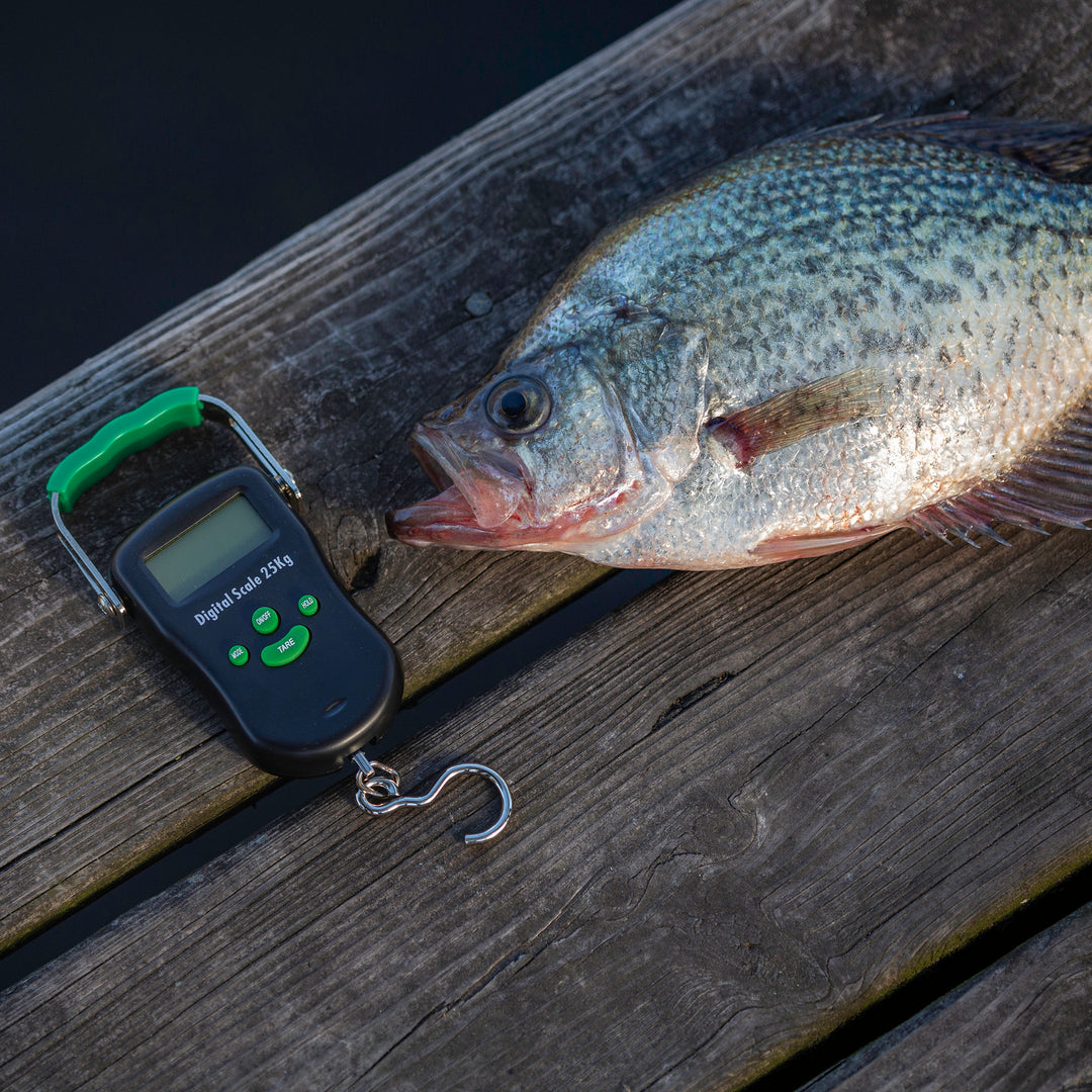 RegalRiver Digital 50lb Fish Scale