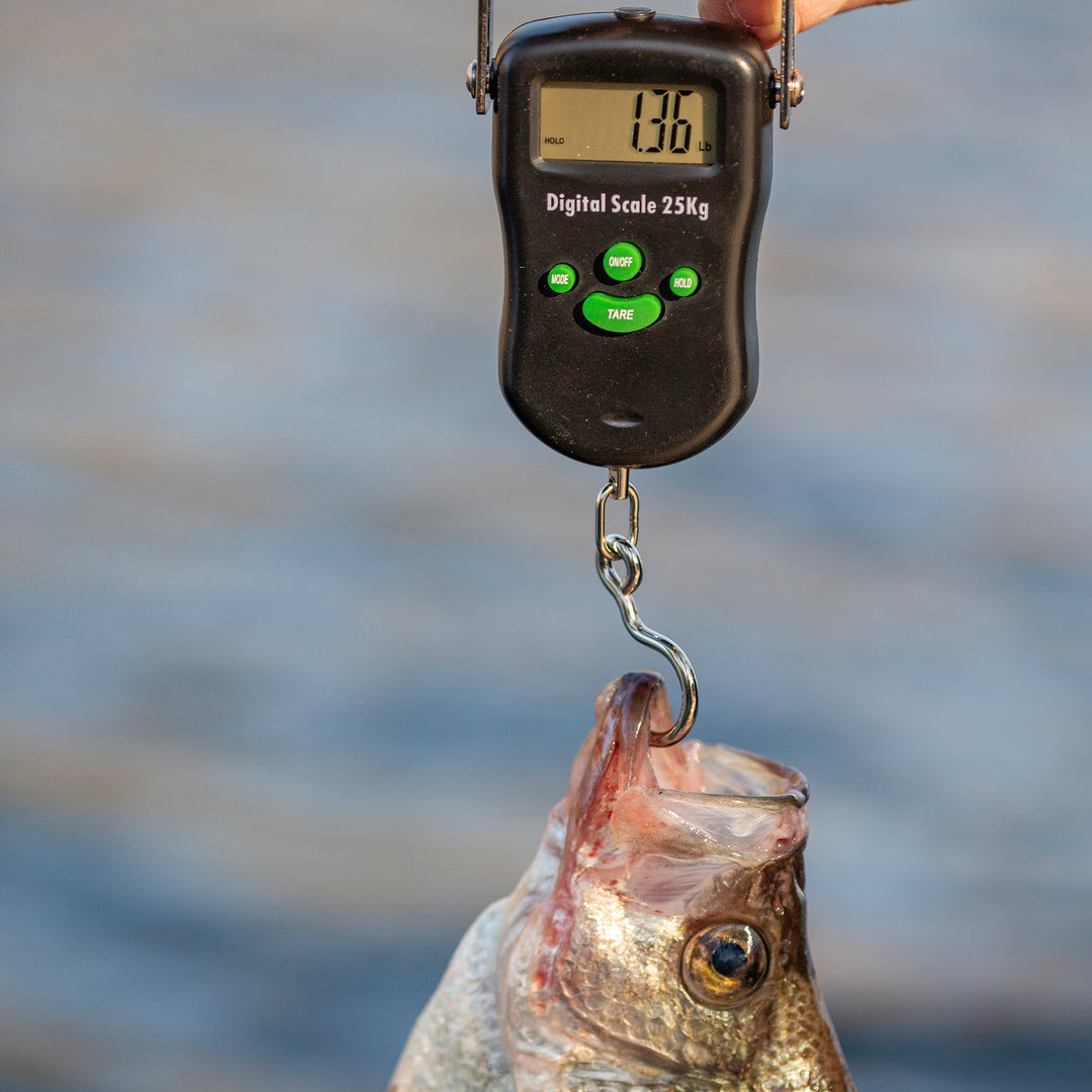 RegalRiver Digital 50lb Fish Scale